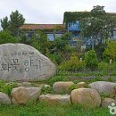 고성국화꽃향기 이미지