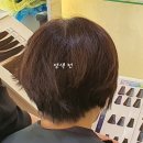 신세대미용실 이미지