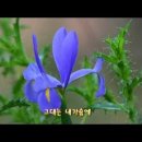 조용필과 유익종의 노래 &#39;들꽃&#39; 이미지