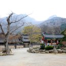 대홍사