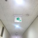 하이센스빌 이미지