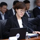 김현지 없는 &#39;김현지 국감&#39;···상임위 곳곳서 존재감 이미지