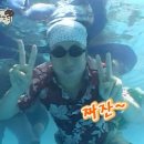 다락골초록원 | [경북 문경] ‘쌍용계곡’ 물놀이 포인트 추천/전국에서 오기 좋은 한반도 한가운데 계곡/수심 5m 계곡...