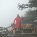 황산카정비 이미지