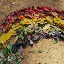 낯 가려도 괜찮아 온라인 책수다 | 일자산 숲탐험대 후기 - 장단점. 예민한 아이 키우기