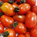 꿈꾸는 농장 이미지