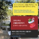 GS25 일곡병원점 | 토스 크리스마스 선물뿌리기 파파존스 초코퍼지 당첨! GS25편의점 할인 페이스페이