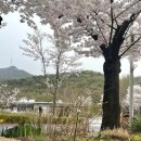 디자인데이지 이미지