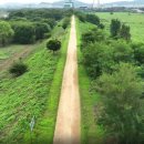 생태와대구 이미지