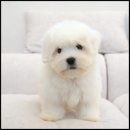 유어라운지 이미지