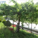 사항제2낚시터 이미지
