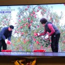 청명농장 이미지