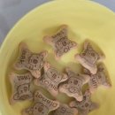 코알라패밀리 | 롯데 코알라의 행진 과자! 초코 바나나 맛 솔직 후기