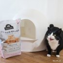 네로앤펫