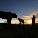 성실축산 이미지