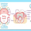 미연세치과의원 이미지
