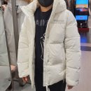 새로나사세탁소 | 디스커버리 패딩 구스다운 여성 숏패딩 내돈내산 후기