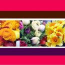 하동우리들병원 이미지