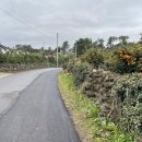 소서제주 7월4일 이미지