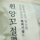 앙꼬집 | 시루조아 앙꼬절편 내돈내산 솔직 후기 팥 싫어하는 딸도 먹었습니다