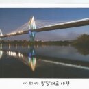 팔달대교 야경 이미지