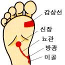 365일 잔병치레 걱정 없는 손ㆍ발 마사지 ... 이미지