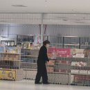 고베공항(UKB) 둘러보기 / 입출국, 면세점, 식당, 1터미널, 2터미널 후기