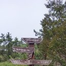 도착해서머물다
