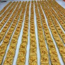 세종의 아침 태권도 이미지