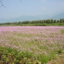 광의사거리 이미지