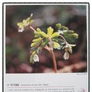 퀼트(야간) 이미지