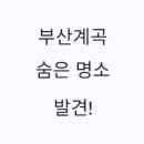 숨은 계곡 | 부산계곡 숨은 명소 발견! 장산·범어사 계곡 후기 모음