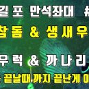 만석 좌대낚시 네이버블로그