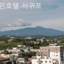 르메인서귀포호텔 | 제주 서귀포 호텔 르메인호텔 서귀포 커플여행에서즐긴호캉스후기