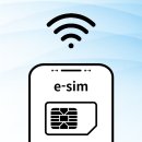 eSIM(e심), 유심 교체 없이 즐기는 편리한 통신