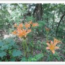 도계체육공원 이미지