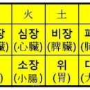 오장육부 이미지