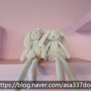 빛이날개 이미지