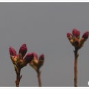 상만목장 이미지