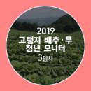 창진길갈축산지점 | [2019 고랭지 배추 청년 모니터링단] 3일차