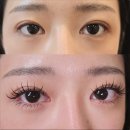 대우마이빌 센트럴파크 | 부개동속눈썹연장 자연스러운 디자인 관련 후기