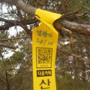 낙동중학교 이미지