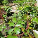 단지내행운공인중개사사무소 이미지