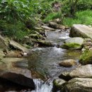 명전계곡 이미지