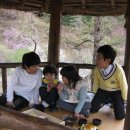 아리랑광고 이미지