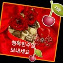 서광세탁 이미지