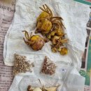 행주농장 이미지