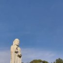 광신석유 고성주유소 이미지