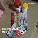 이로운 동물약국 | 저탄수 죽염 다이어트 16:8 공복 2주 체지방 변화