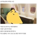 [성격이 팔자] 좋은 의미든 나쁜 의미든 성격이 팔자라고 느낀 경험 있으신가요? 이미지